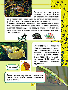 Apmeklējošā pasaule. Dzīvnieki