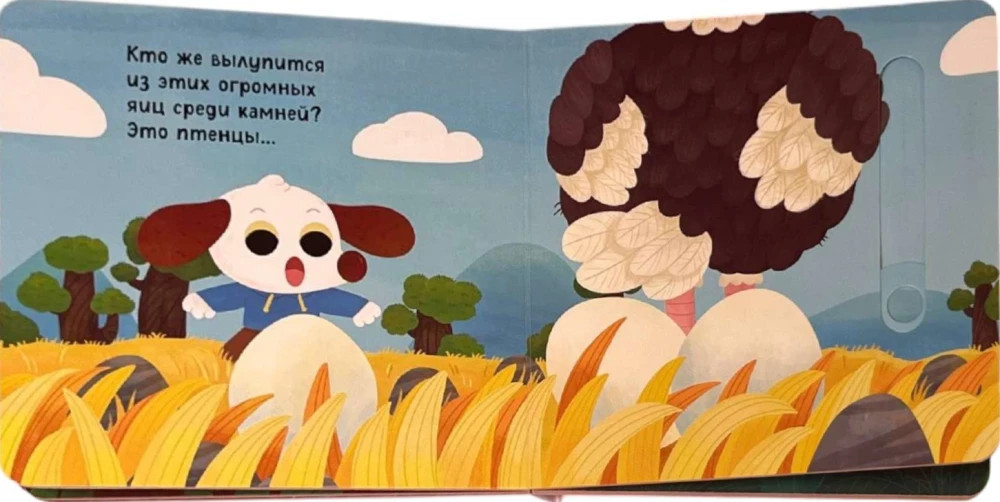 Guess Who's in the Egg