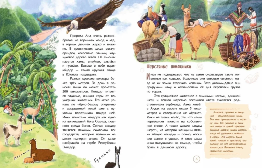 Die Inkas. Erfinder von Seilbriefen und Seilhängebrücken