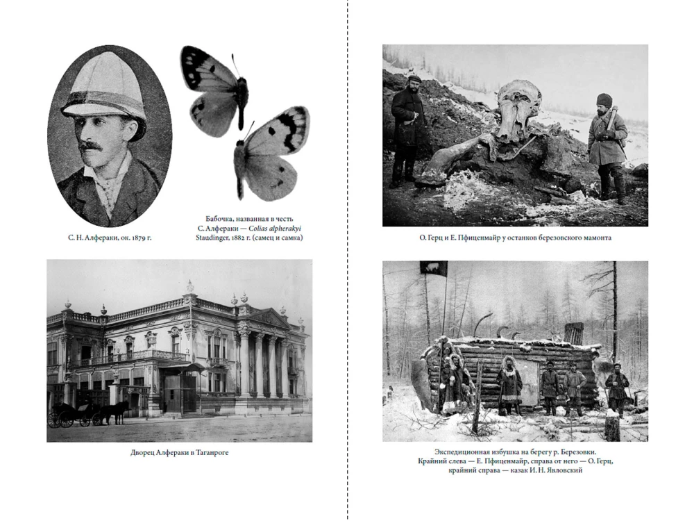 Kolekcininkas drugelių: Didysis kunigaikštis Nikolajus Michailovičius, entomologas iš Romanovų dinastijos