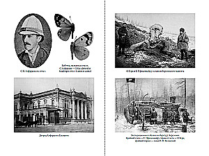 Kolekcininkas drugelių: Didysis kunigaikštis Nikolajus Michailovičius, entomologas iš Romanovų dinastijos