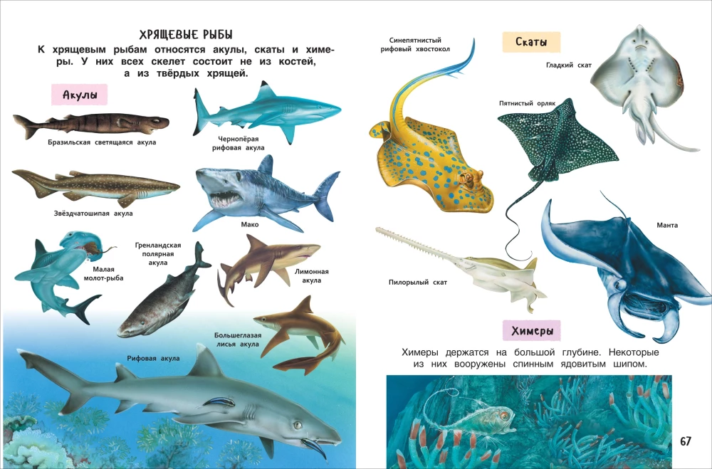 Najlepsza encyklopedia dla dzieci