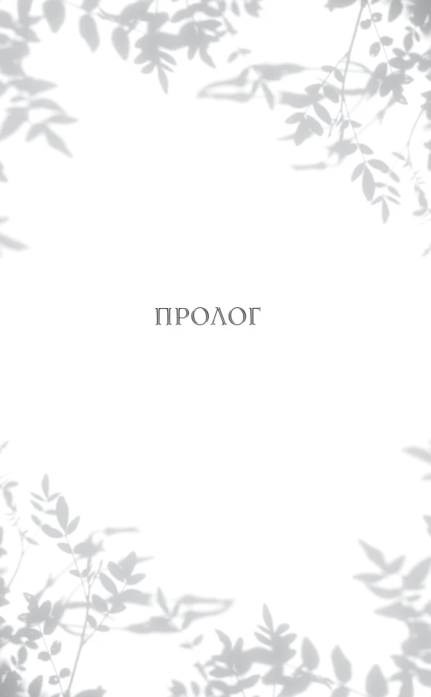 The Secret Bureau of Illusions. The Eve of the Summer Solstice. Book 2