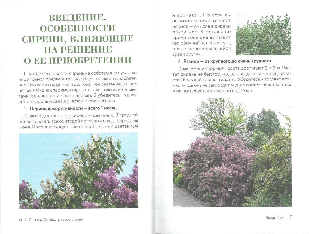 Lilac. The Symbol of the Russian Garden. A Planting and Care Cheat Sheet-Tracker