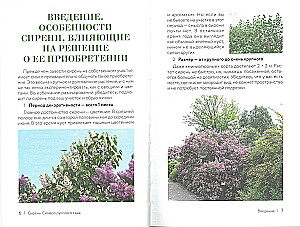 Lilac. The Symbol of the Russian Garden. A Planting and Care Cheat Sheet-Tracker