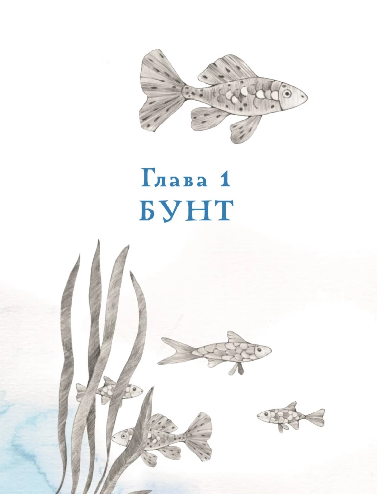 Edge of the World. New Adventures of the Forest Guardians