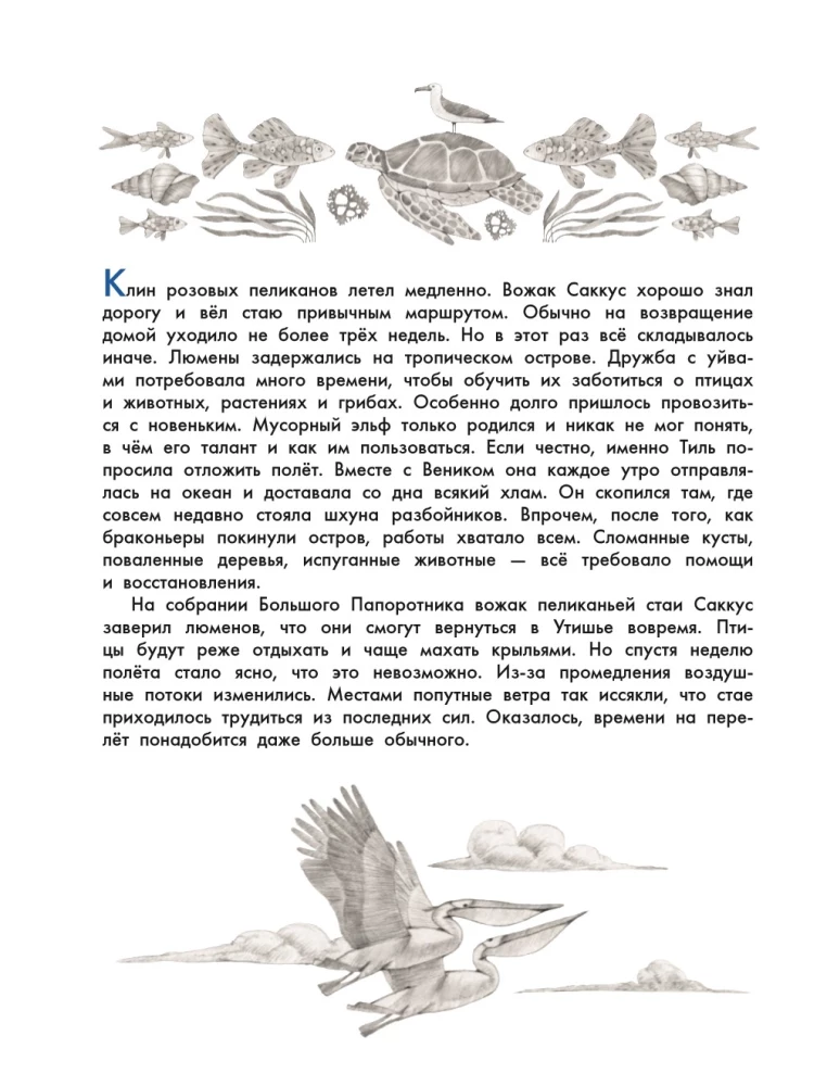 Edge of the World. New Adventures of the Forest Guardians