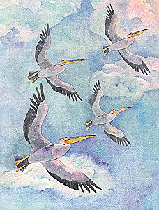 Edge of the World. New Adventures of the Forest Guardians