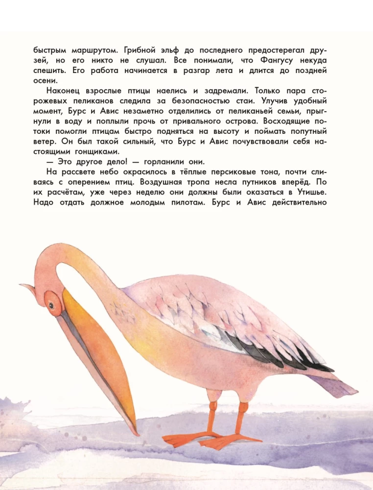 Edge of the World. New Adventures of the Forest Guardians