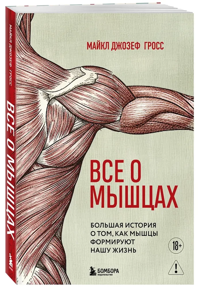 All About Muscles. A Great Story About How Muscles Shape Our Lives