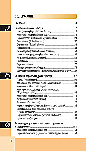 Garden and Vegetable Diseases. Pocket Field Guide