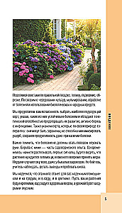 Garden and Vegetable Diseases. Pocket Field Guide