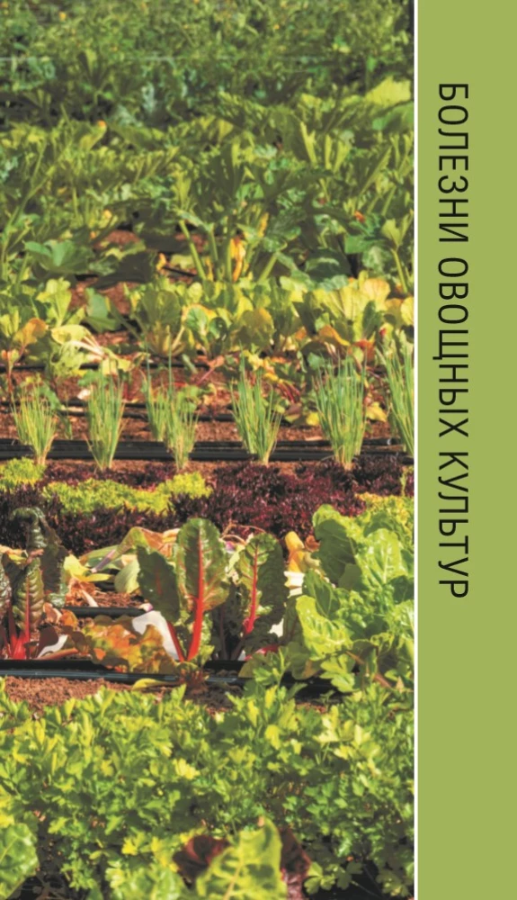 Garden and Vegetable Diseases. Pocket Field Guide