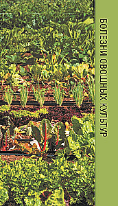 Garden and Vegetable Diseases. Pocket Field Guide