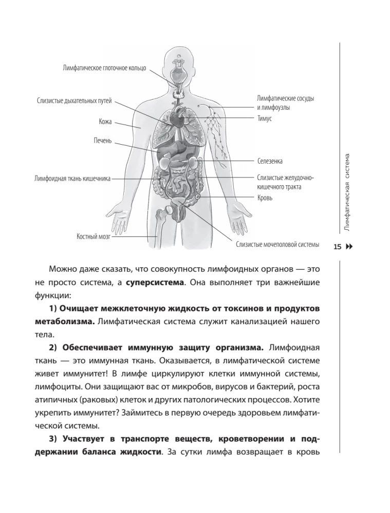 Lymphatic Self-Massage. Practices that will free you from swelling, heaviness, and normalize digestion