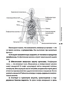 Lymphatic Self-Massage. Practices that will free you from swelling, heaviness, and normalize digestion