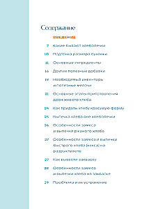 Rukkiküpsetaja. Täielik juhend köögiseadmest. Üle 40 koduse leiva ja küpsetise retsepti