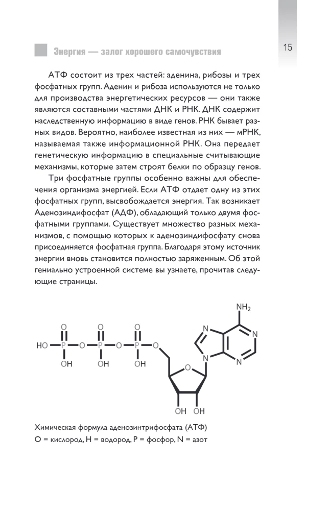 Restore Your Energy. How to Replenish Nutrient Deficiencies, Overcome Chronic Fatigue, and Extend Youth