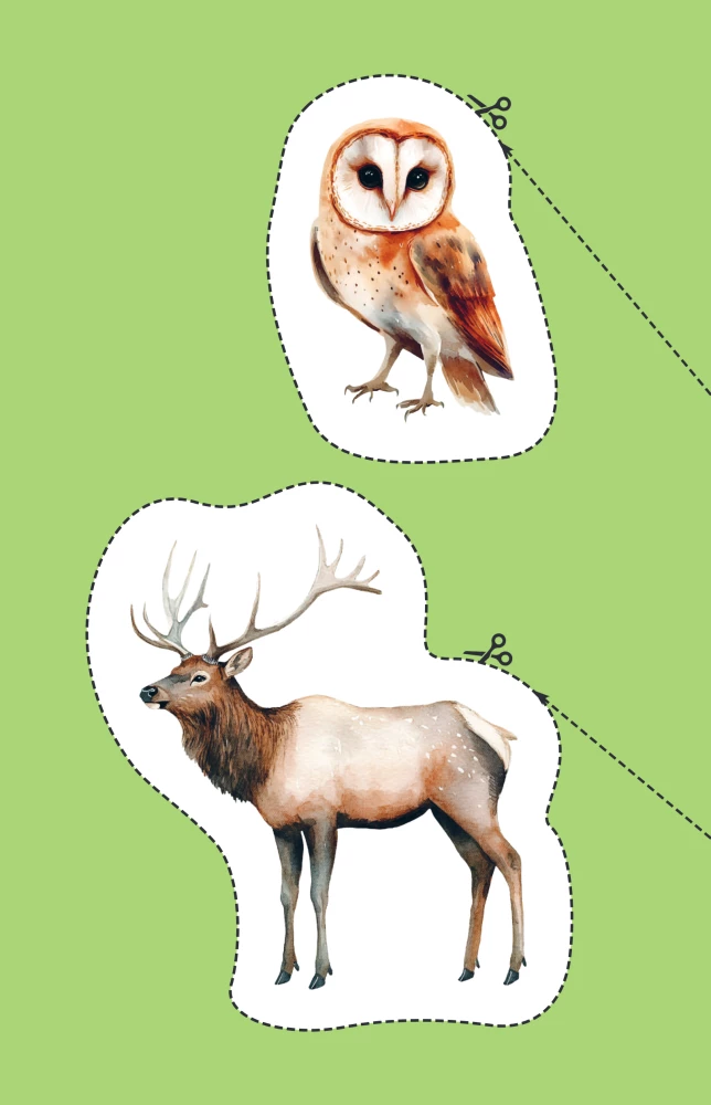 Мои первые вырезалки. Животные