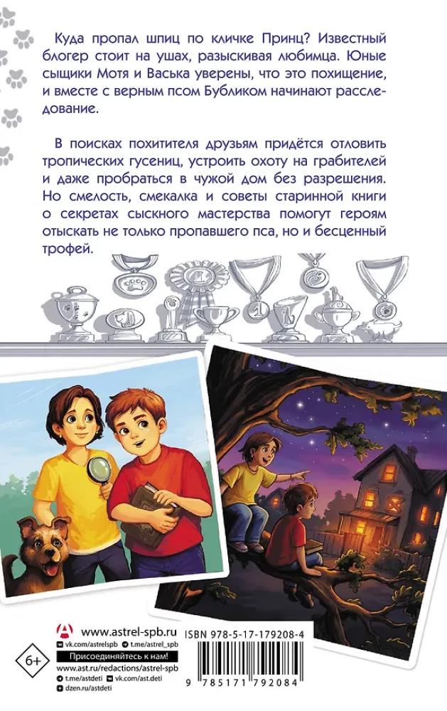 The Mystery of the Missing Prince