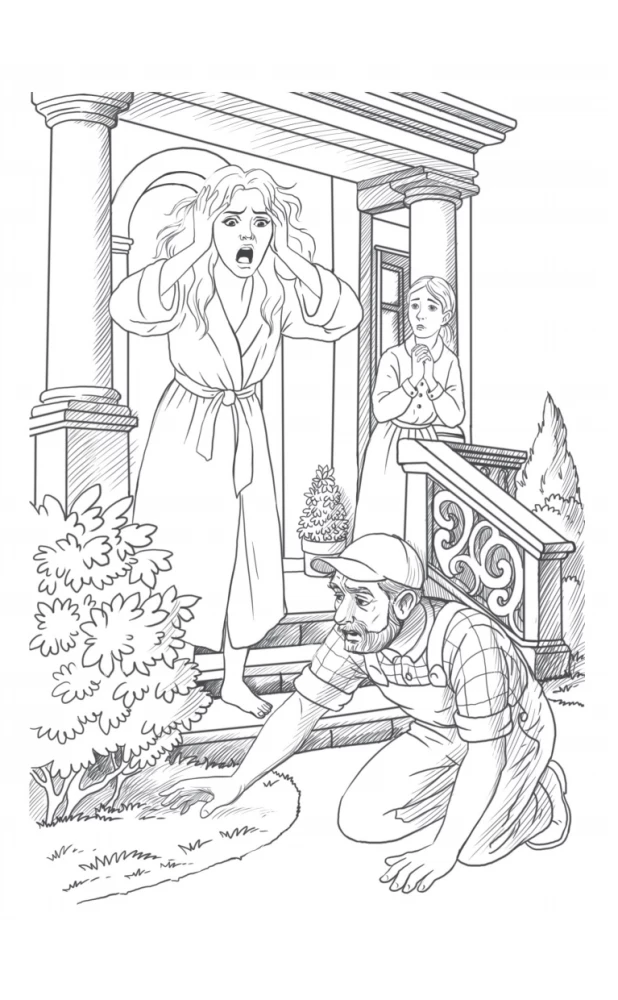 The Mystery of the Missing Prince