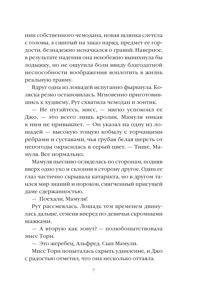 Lavender and Antique Lace