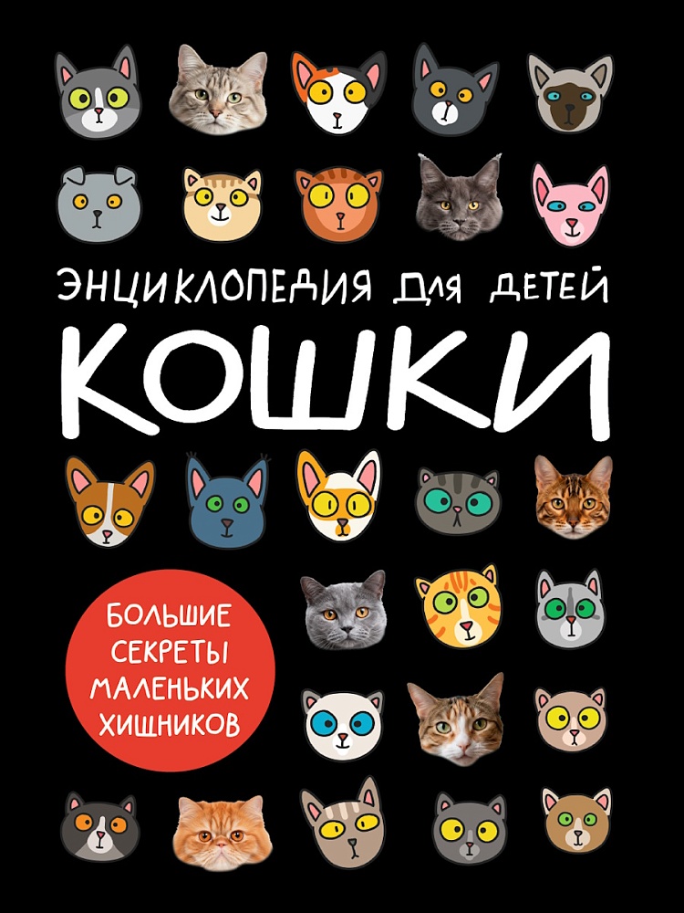 KOTY. WIELKIE SEKRETY MAŁYCH DRAPIEŻNIKÓW