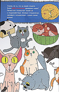 KOTY. WIELKIE SEKRETY MAŁYCH DRAPIEŻNIKÓW