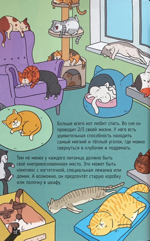 KOTY. WIELKIE SEKRETY MAŁYCH DRAPIEŻNIKÓW