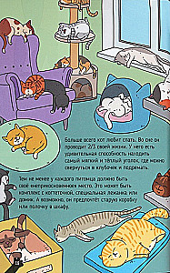 KOTY. WIELKIE SEKRETY MAŁYCH DRAPIEŻNIKÓW