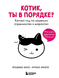 Kassike, kas sul on kõik korda? koomiksite giid kasside kummalistele ja kavalatele sürakatele