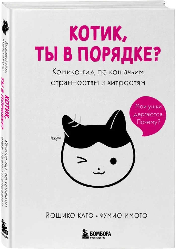 Kassike, kas sul on kõik korda? koomiksite giid kasside kummalistele ja kavalatele sürakatele