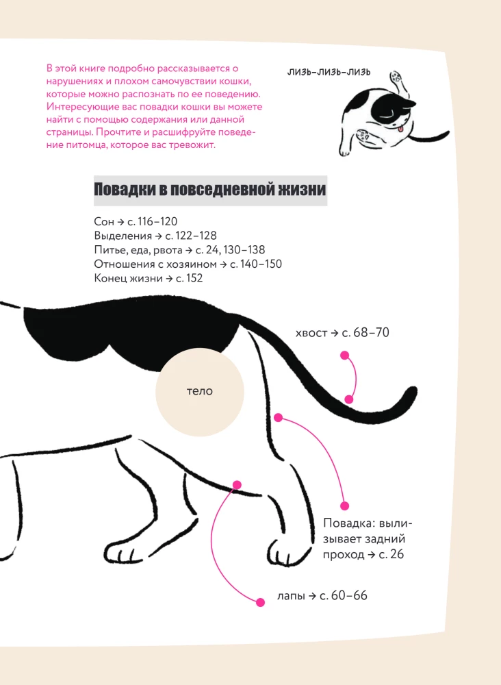 Kassike, kas sul on kõik korda? koomiksite giid kasside kummalistele ja kavalatele sürakatele