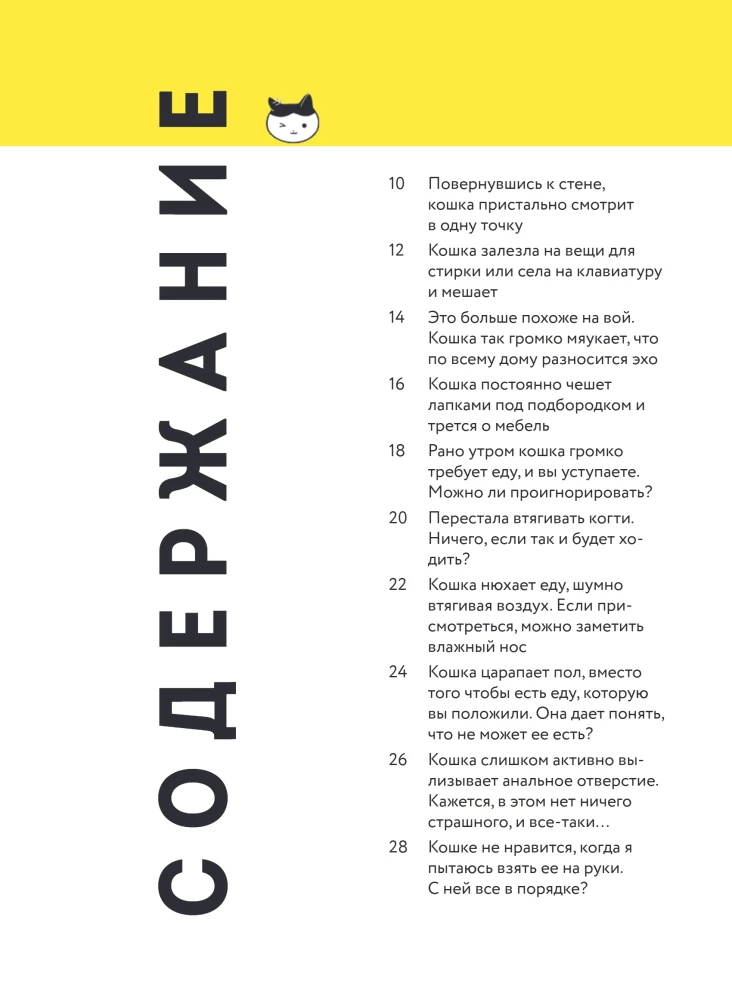 Kassike, kas sul on kõik korda? koomiksite giid kasside kummalistele ja kavalatele sürakatele