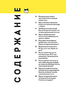 Kassike, kas sul on kõik korda? koomiksite giid kasside kummalistele ja kavalatele sürakatele