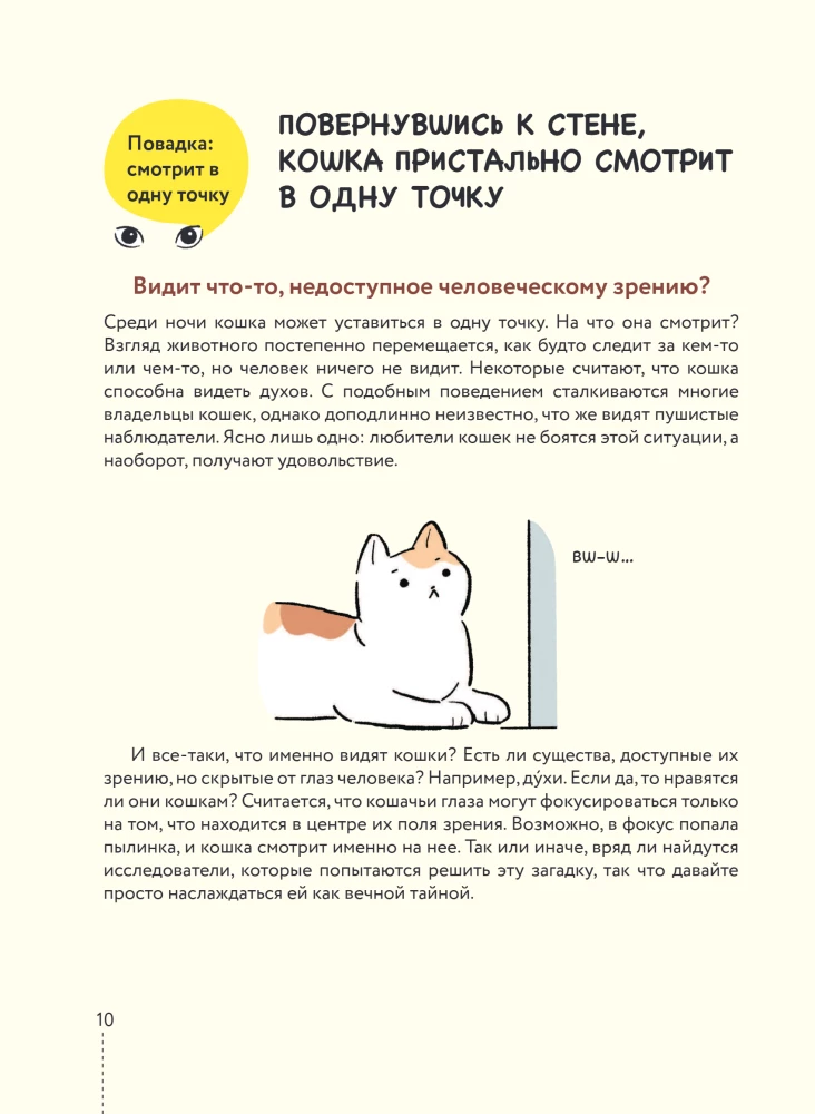 Kassike, kas sul on kõik korda? koomiksite giid kasside kummalistele ja kavalatele sürakatele