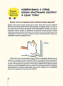 Kassike, kas sul on kõik korda? koomiksite giid kasside kummalistele ja kavalatele sürakatele