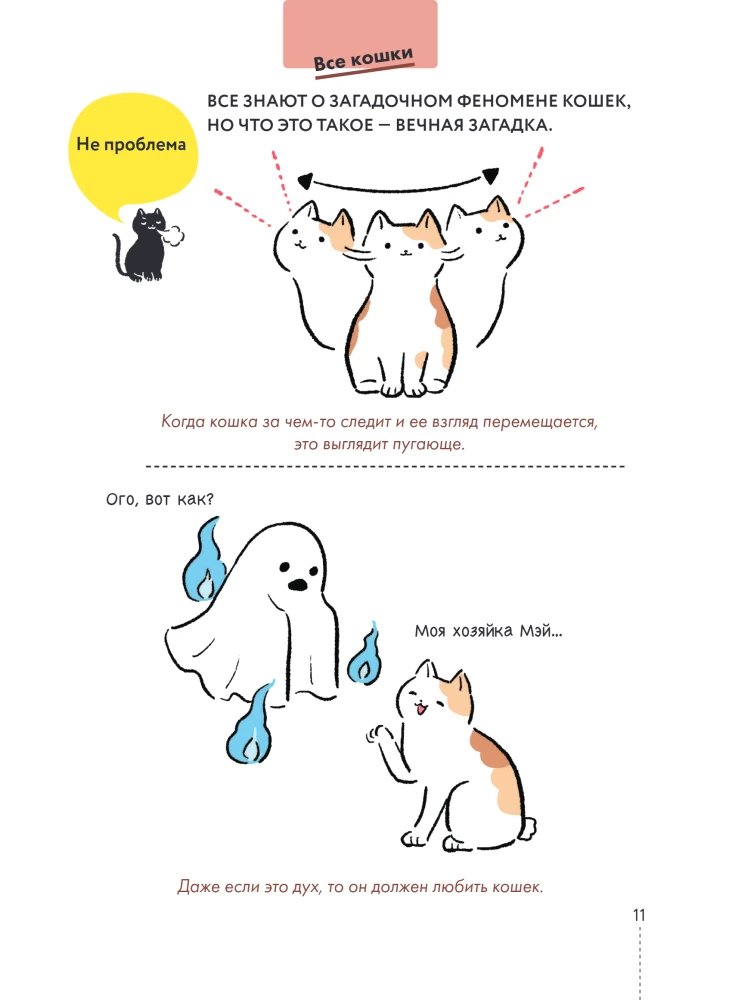 Kassike, kas sul on kõik korda? koomiksite giid kasside kummalistele ja kavalatele sürakatele