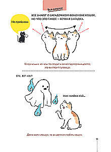 Kassike, kas sul on kõik korda? koomiksite giid kasside kummalistele ja kavalatele sürakatele