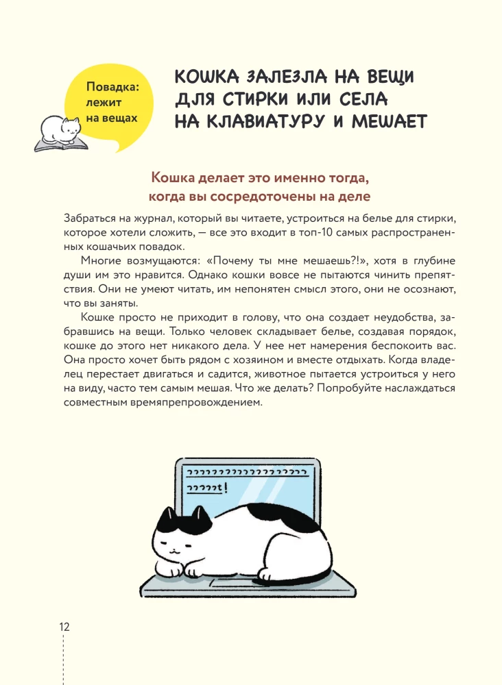 Kassike, kas sul on kõik korda? koomiksite giid kasside kummalistele ja kavalatele sürakatele