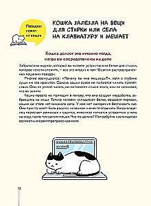 Kassike, kas sul on kõik korda? koomiksite giid kasside kummalistele ja kavalatele sürakatele