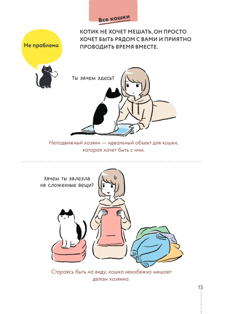 Kassike, kas sul on kõik korda? koomiksite giid kasside kummalistele ja kavalatele sürakatele