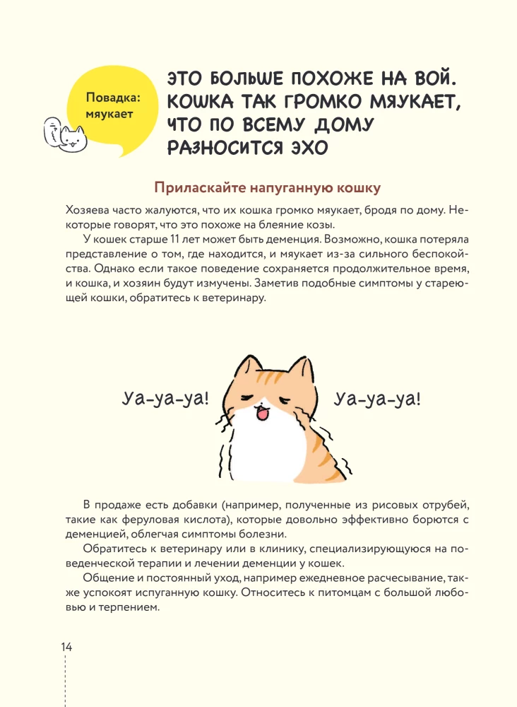 Kassike, kas sul on kõik korda? koomiksite giid kasside kummalistele ja kavalatele sürakatele