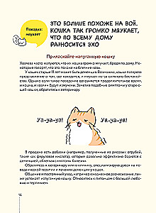 Kassike, kas sul on kõik korda? koomiksite giid kasside kummalistele ja kavalatele sürakatele