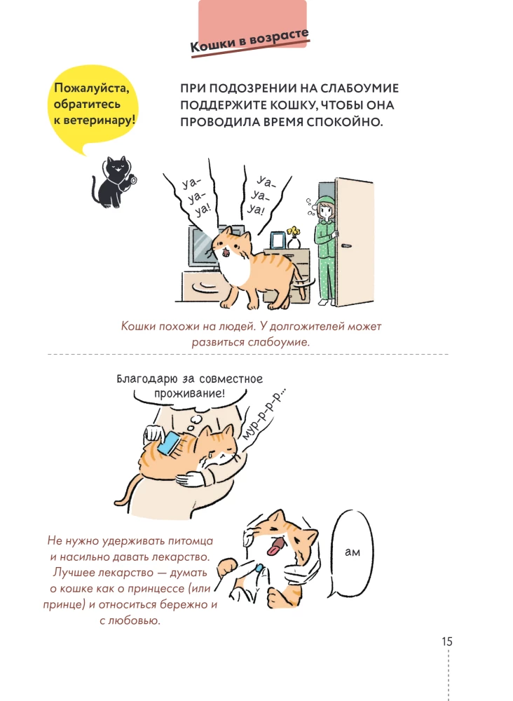 Kassike, kas sul on kõik korda? koomiksite giid kasside kummalistele ja kavalatele sürakatele