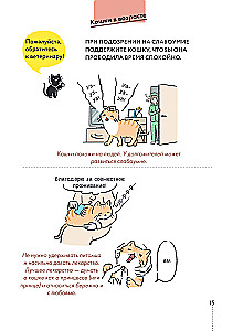 Kassike, kas sul on kõik korda? koomiksite giid kasside kummalistele ja kavalatele sürakatele