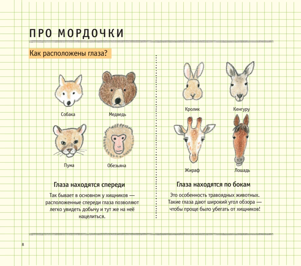Zeichenschule für Anfänger. Niedliche Tiere