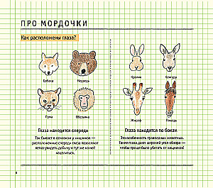 Zeichenschule für Anfänger. Niedliche Tiere