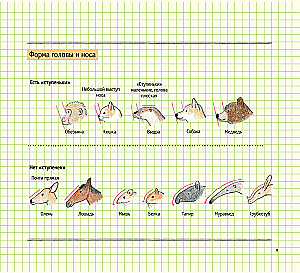Zeichenschule für Anfänger. Niedliche Tiere