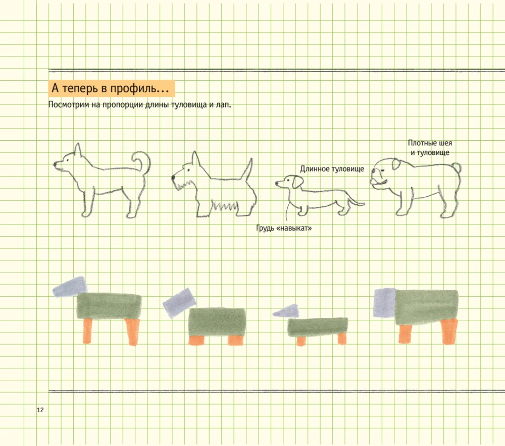 Zeichenschule für Anfänger. Niedliche Tiere
